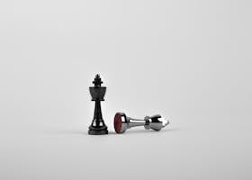 Chess_mini