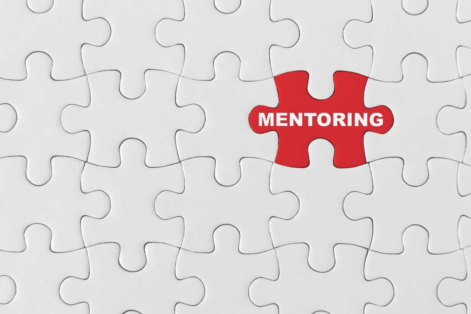 Mentoring-Programms