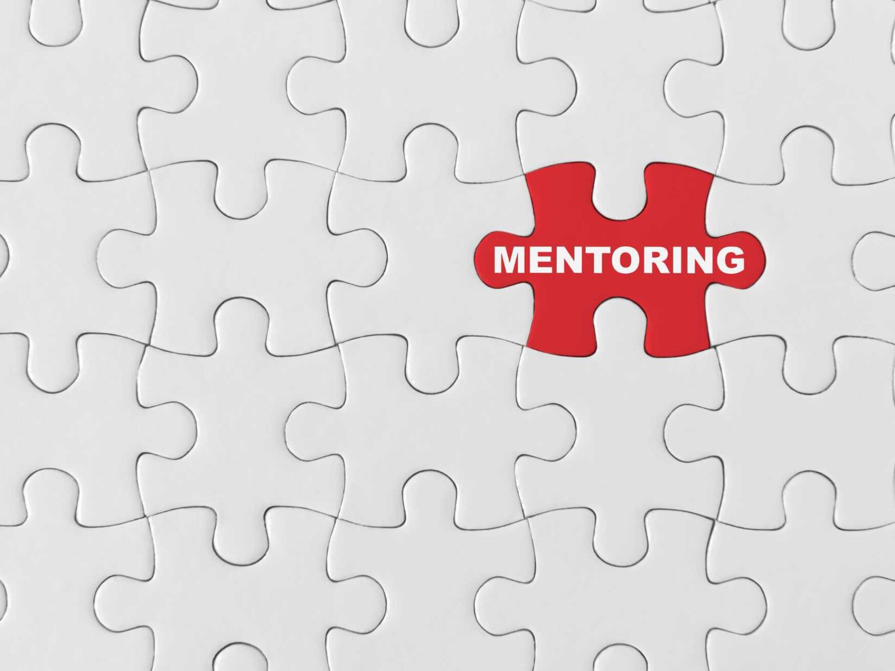 Mentoring-Programms