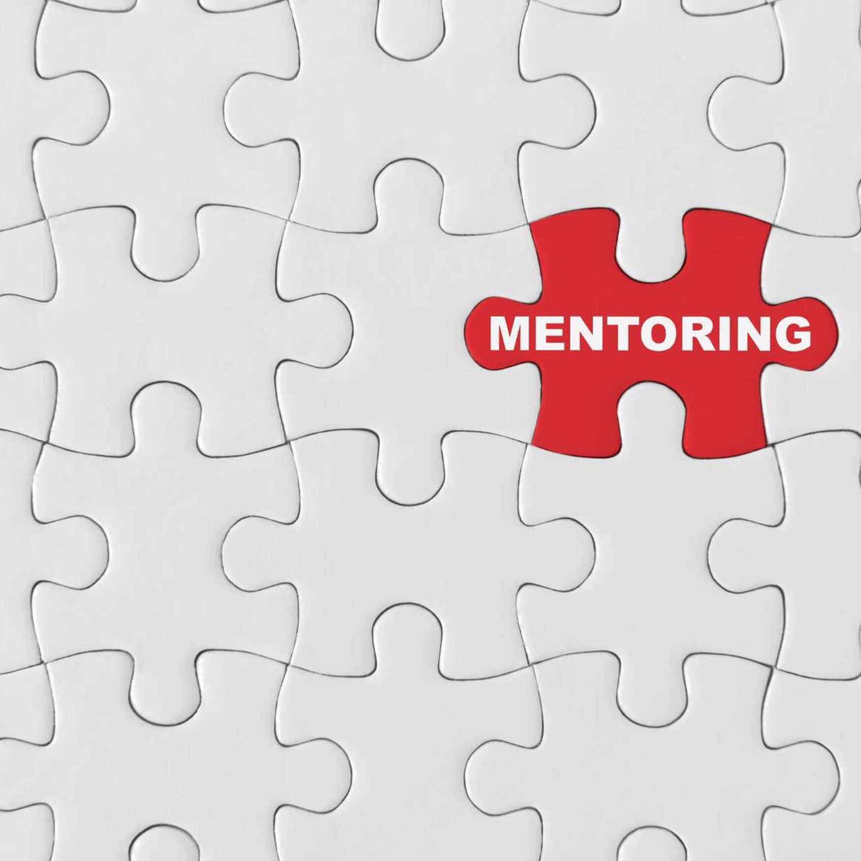 Mentoring-Programms